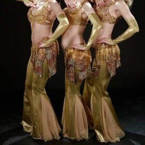 Gold Bellydance Bellbottom Pants Costume - Gold - Disco Halloween